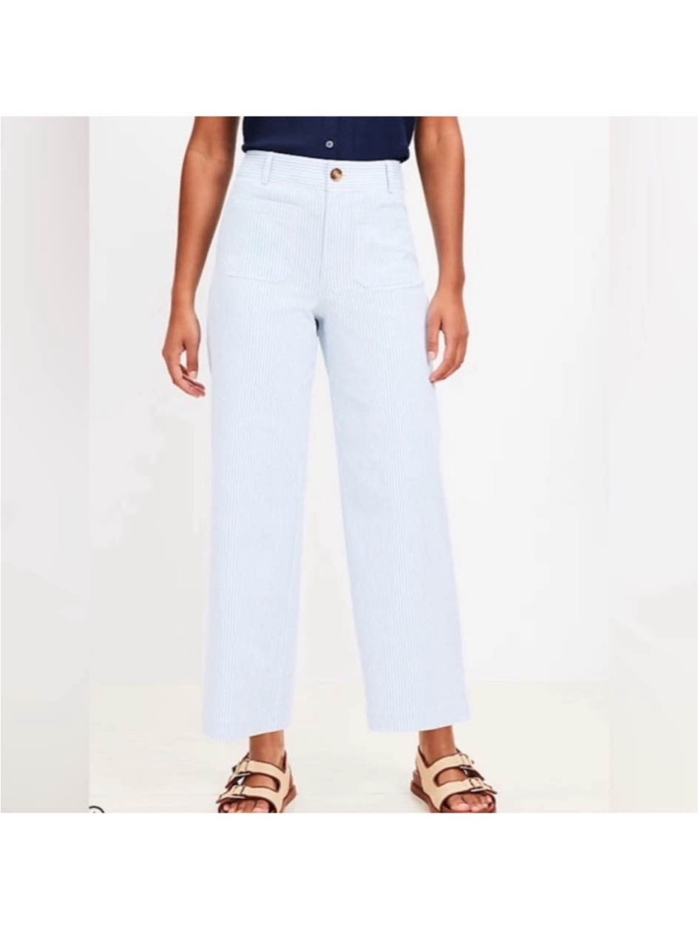LOFT Light Blue Wide-Leg Crop Jeans (Palmer Pant) 8P